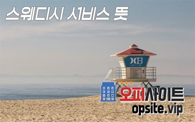 2-3-스웨디시서비스뜻.webp