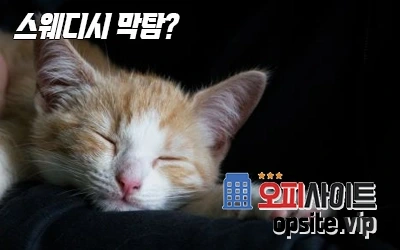 5-3-스웨디시막탐.webp