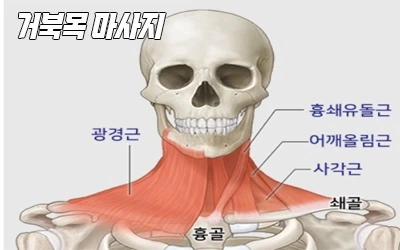 2-거북목마사지-2.webp